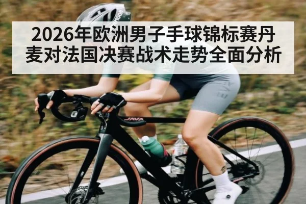 2026年欧洲男子手球锦标赛丹麦对法国决赛战术走势全面分析